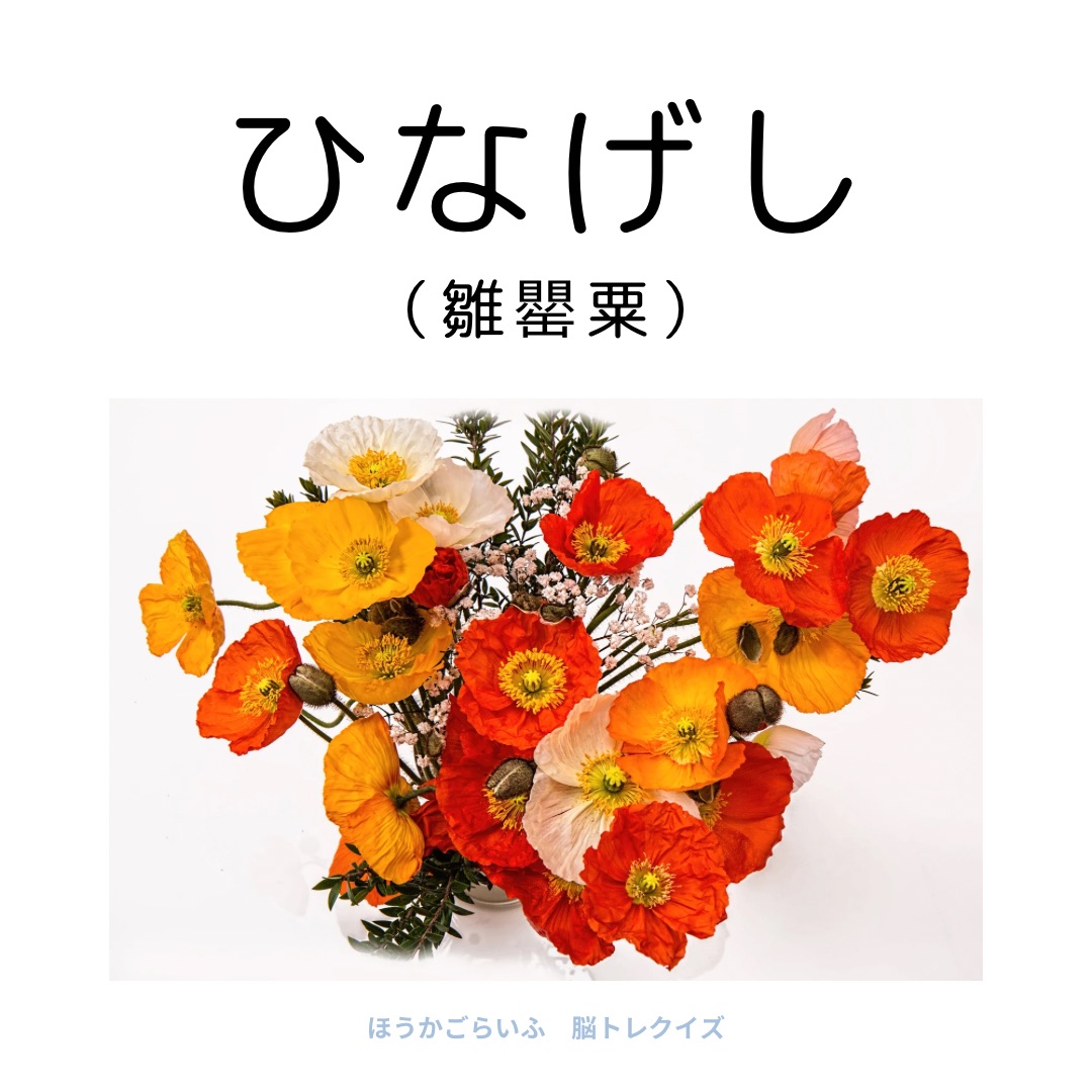 高齢者向け（無料）言葉の並び替えで脳トレしよう！文字（ひらがな）を並び替える簡単なゲーム【花の名前】健康寿命を延ばす鍵